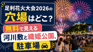 足利花火大会2026の穴場