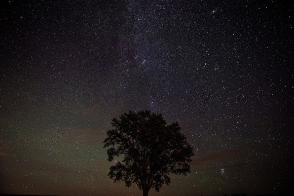 しし座流星群2019はいつ?方角やピークの時間は?