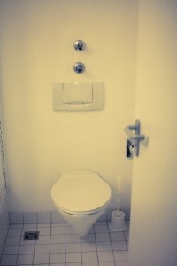 toilet2