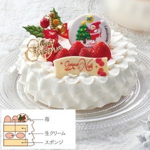 fcake2