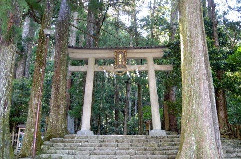 関西初詣スポット【開運祈願やご利益】ココがおすすめ!