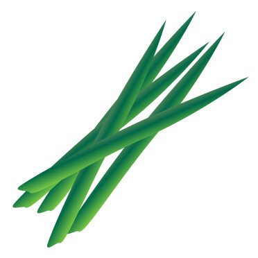 菖蒲湯の由来や意味と作り方!効能や効果はあるの?