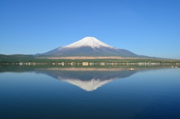 静岡でお土産を買うならコレ【絶対喜ばれるランキング】