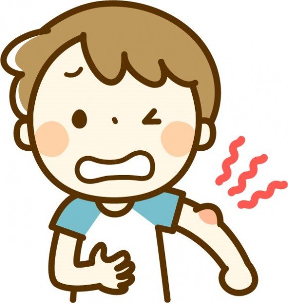 虫刺されの腫れや水ぶくれの対処法!痒みが治らない時は?