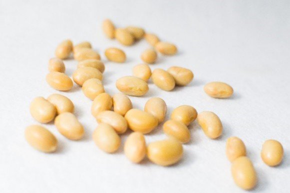 大豆イソフラボンの効能・効果や摂取量や副作用の心配はないの?