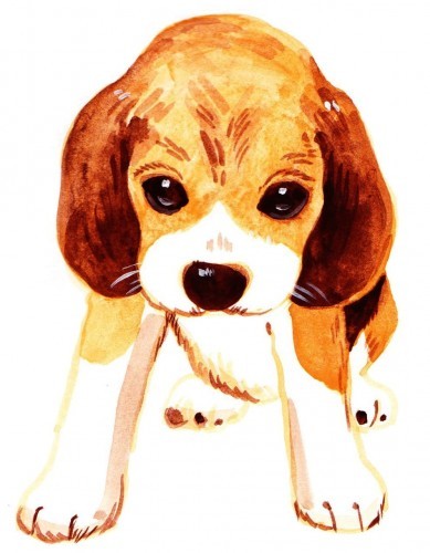 動物のイラスト無料【画像・素材・背景】おすすめ10選!