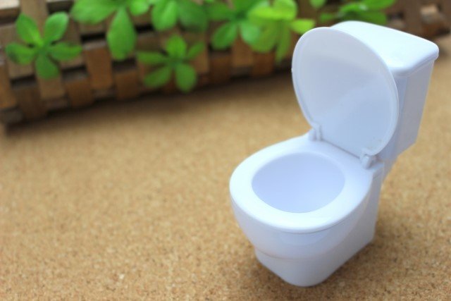 利尿作用の効果のある食べ物や飲み物おすすめ20選!