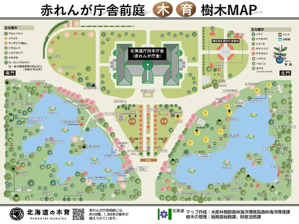 北海道庁旧本庁舎前庭の樹木と南池・北池の位置を示した木育樹木マップ