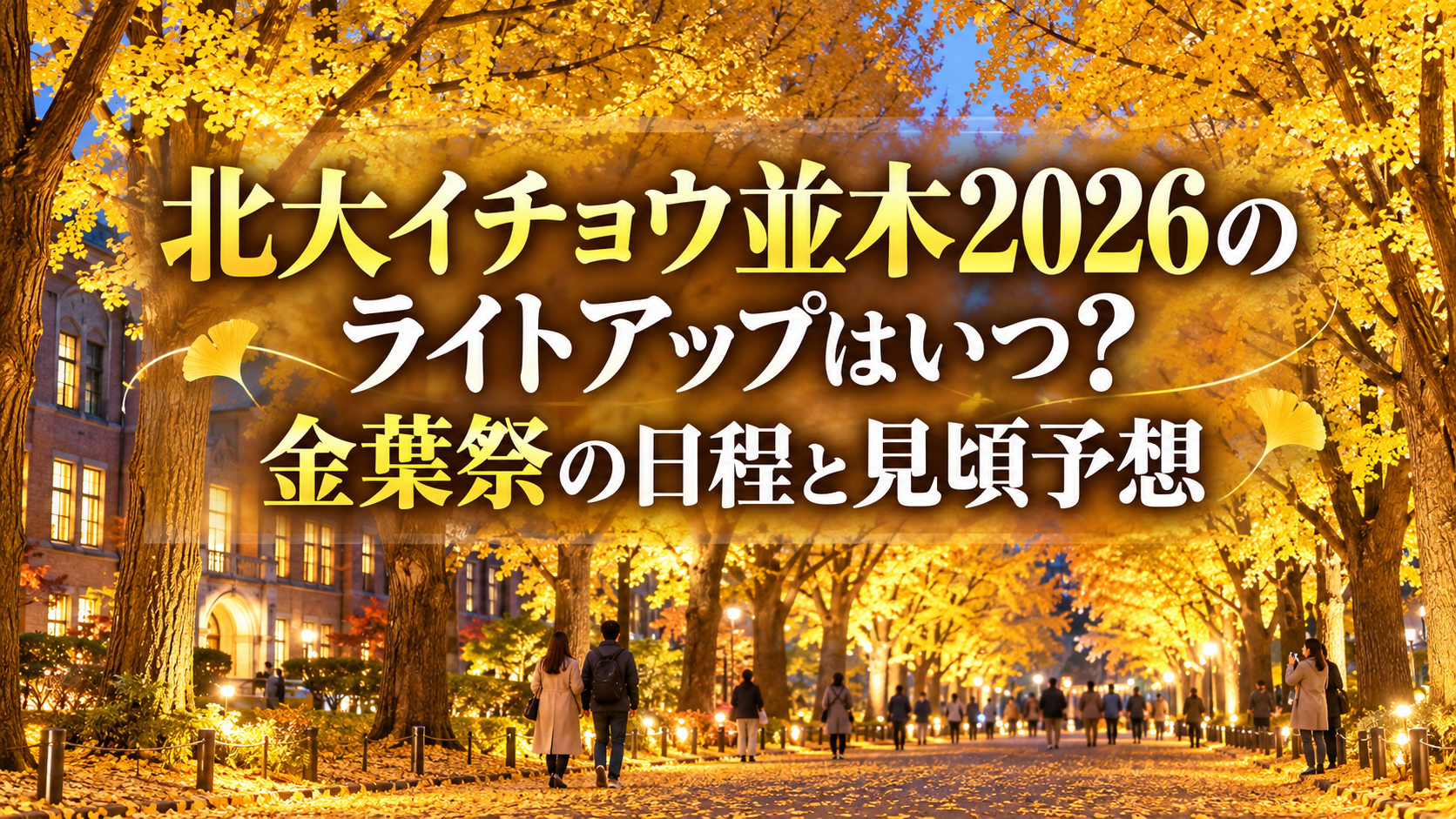 北海道大学のイチョウ並木が黄金色に染まり、秋の夕暮れにライトアップされて輝く散策路の風景。