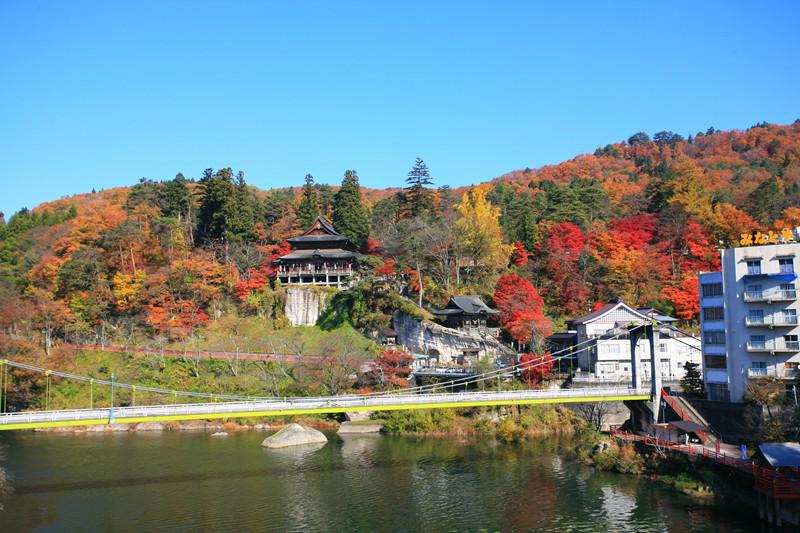 圓藏寺境内の白壁に映えるモミジの紅葉