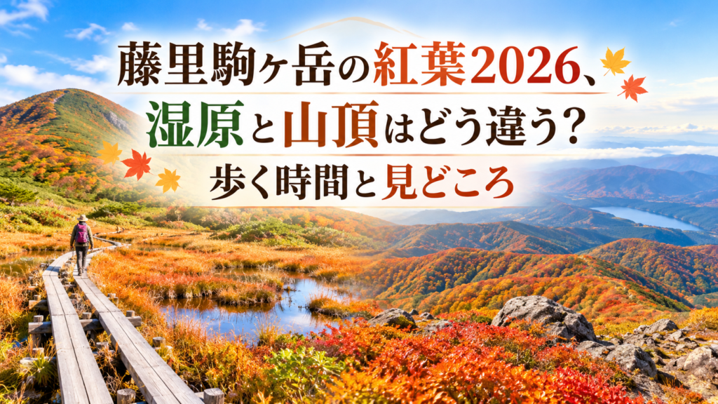 赤や黄に色づく藤里駒ヶ岳の湿原と山並みを望み、秋の装いの登山者が散策する紅葉風景