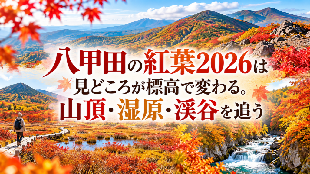 八甲田の山頂から湿原、渓谷へと広がる赤や橙、黄色の紅葉を、秋のやわらかな光の中で楽しむ風景。