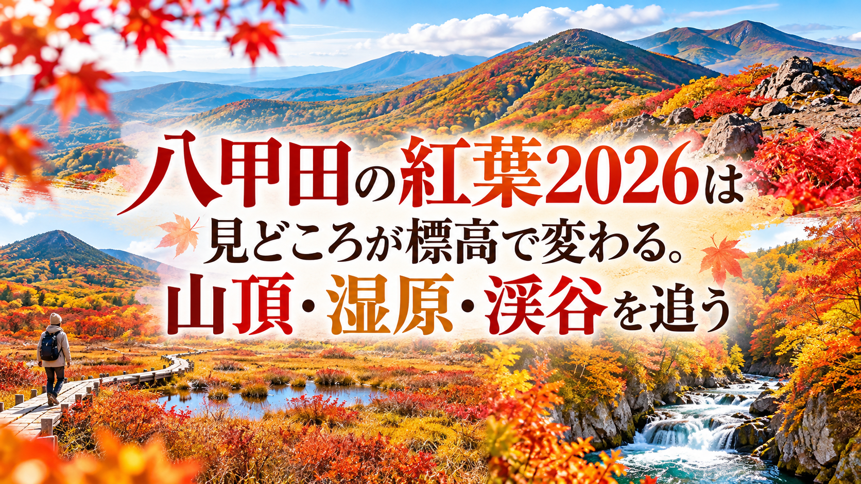八甲田の山頂から湿原、渓谷へと広がる赤や橙、黄色の紅葉を、秋のやわらかな光の中で楽しむ風景。