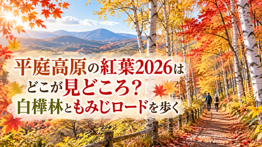 色鮮やかな紅葉に包まれた平庭高原の白樺林と散策路を、秋の装いの人がゆっくり歩く風景