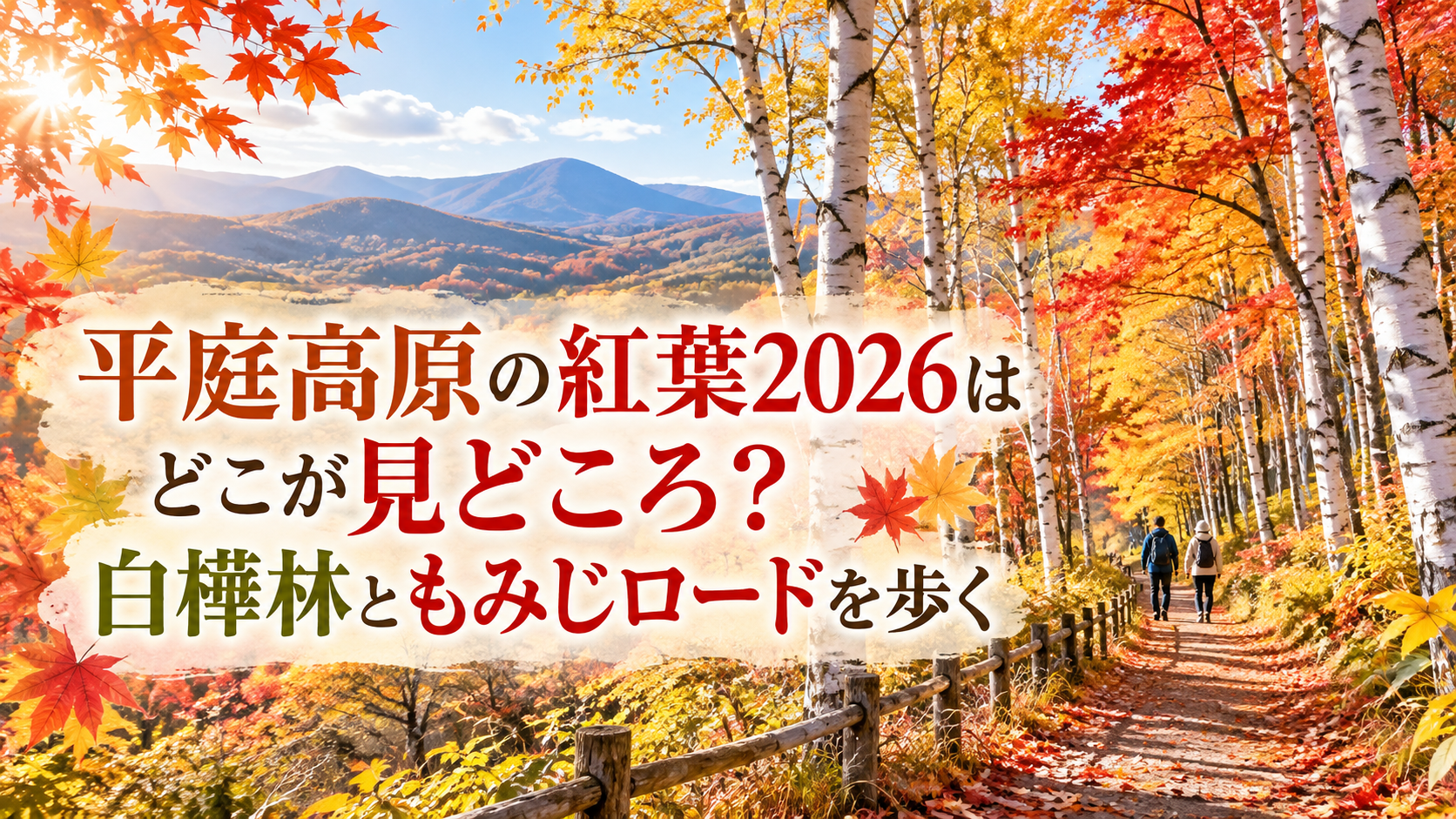 色鮮やかな紅葉に包まれた平庭高原の白樺林と散策路を、秋の装いの人がゆっくり歩く風景