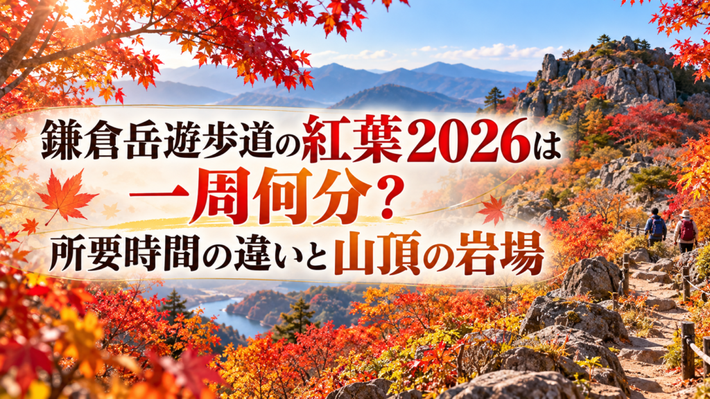 赤やオレンジに色づく鎌倉岳の遊歩道と山頂付近の岩場を、秋のやわらかな光の中で望む風景。
