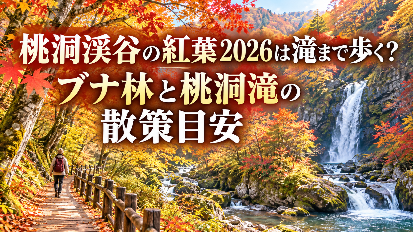 赤や黄に色づくブナ林の散策路と渓谷の先に桃洞滝を望む、秋の桃洞渓谷の風景。